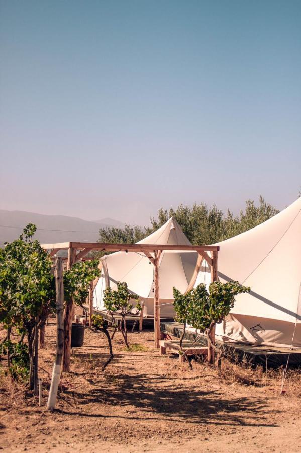 The Pangea Valle De Guadalupe Kültér fotó